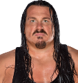 Rhyno