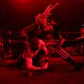 Story Image for Daniel Bryan Strapped Up! Bayley Takes A Heel. Uso's Bow To No Man.