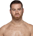 Sami Zayn